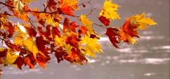 cucina autunno